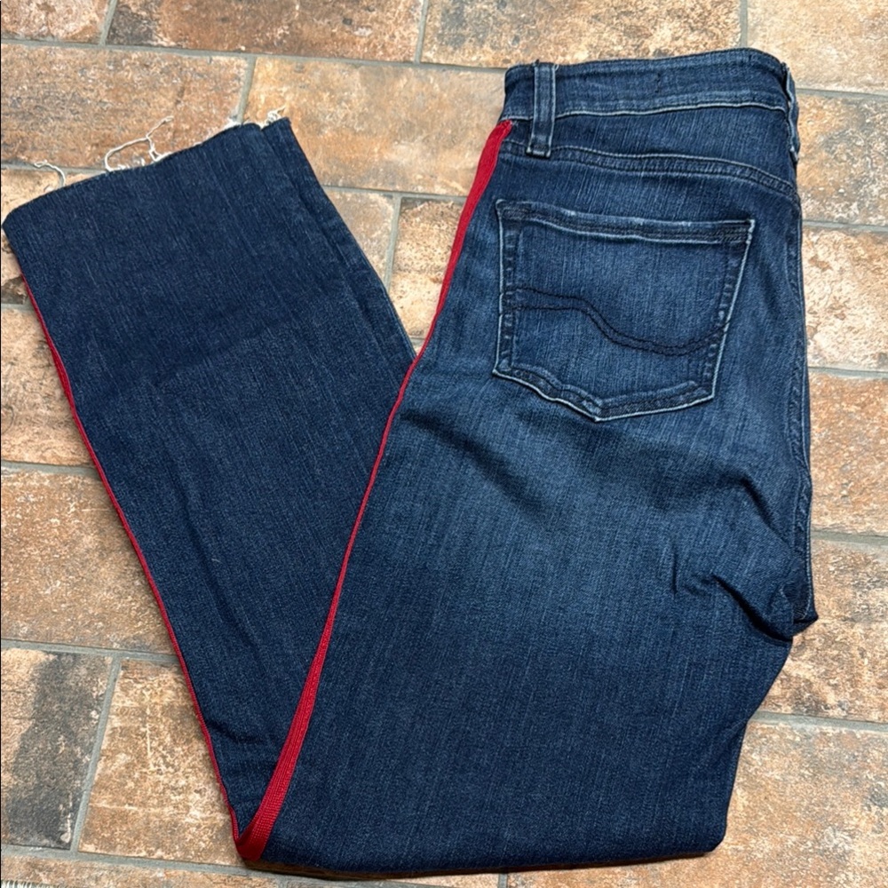 Sanctuary Dark Blue Jeans with Red Accent